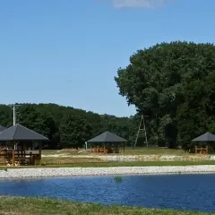 Łowisko Milejewo - idealne miejsce na wędkowanie i ryby do złowienia