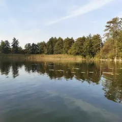 Łowisko Łopienno: Idealne miejsce na wędkowanie i relaks w naturze