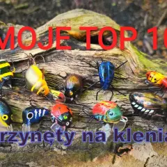 Skuteczne przynęty na klenia – wybierz najlepsze opcje na ryby