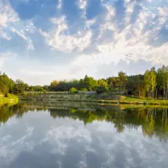 Łowisko Lubojenka - idealne miejsce na wędkarską przygodę i relaks
