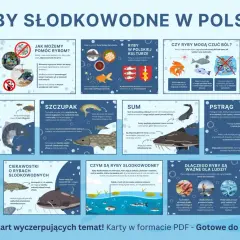 Szczupak, drapieżnik z ostrymi zębami, czeka w wodnej roślinności na ofiarę. Potrafi zaatakować w ułamku sekundy.