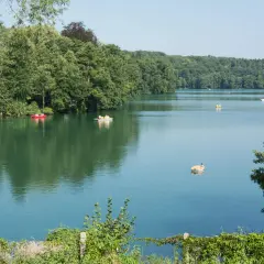 Spokojne jezioro ciecz otoczone zielonymi drzewami. Kilka łódek pływa po wodzie, tworząc sielski krajobraz.