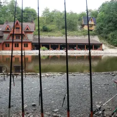 Gdzie można łowić ryby bez karty wędkarskiej w Śląsku - najlepsze miejsca