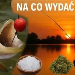 Łowisko RaFish – idealne miejsce na wędkowanie z atrakcjami i zasadami
