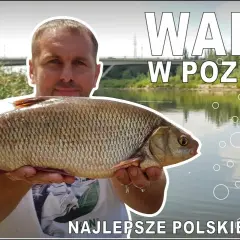 Warta gdzie na ryby: najlepsze miejsca i techniki wędkarskie