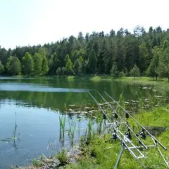 Cennik łowiska Całowanie: Sprawdź, ile zapłacisz za wędkowanie