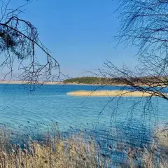 Wiosenny dzień nad Jeziorem Rybnickim. Woda lśni, a trzciny szumią na brzegu.