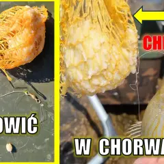 Na co łowić ryby w Chorwacji? Skuteczne przynęty, które działają