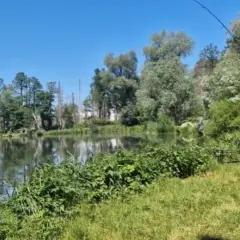 Łowisko Rusiec - idealne miejsce na wędkowanie przez cały rok