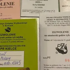 Jak wykupić pozwolenie na połów ryb przez internet w prosty sposób