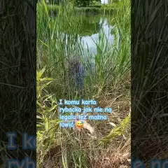 Gdzie na ryby bez karty Radom? Odkryj łowiska bez licencji