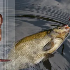 Jak zamontować haczyk do wędki, aby uniknąć utraty ryby