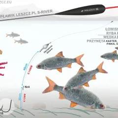 Wędka bolonka na rzece, łowi płocie i jaźnie. Przynęty: kaster, biały robak, pinka, ochotka.