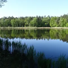 Łowisko Baroniok – idealne miejsce na wędkarską przygodę w Polsce
