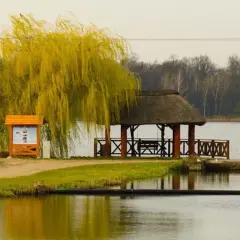 Łowisko Pawłowice: Wszystko, co musisz wiedzieć o wędkowaniu