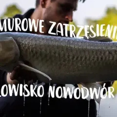 Łowisko Amur - idealne miejsce na wędkarskie przygody w Łódzkiem