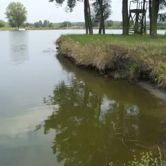 Łowisko 3 Stawy Goryń Radom - Idealne miejsce na wędkarską przygodę