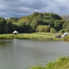 Łowisko Bobolice - najlepsze miejsca na ryby i rezerwacje bez stresu