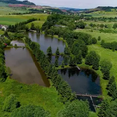 Widok z lotu ptaka na stawy rybne otoczone zielenią, z domami w tle.