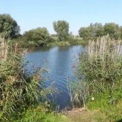 Gdzie na ryby bez karty kujawsko-pomorskie - najlepsze miejsca na wędkowanie