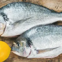 Jakie ryby na keto? Odkryj najlepsze tłuste ryby dla zdrowia