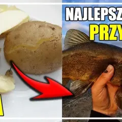 Jak zrobić ciasto wędkarskie, które skutecznie przyciąga ryby