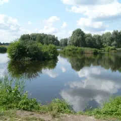 Łowisko Bolimów - idealne miejsce na wędkowanie i relaks w naturze