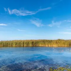 Spokojny zalew Mietkowski z trzcinami na horyzoncie i błękitnym niebem z chmurkami.