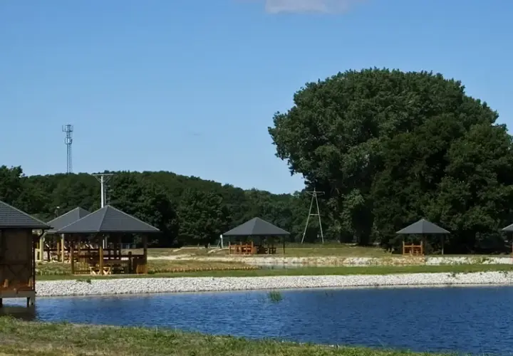 Łowisko Milejewo - idealne miejsce na wędkowanie i ryby do złowienia