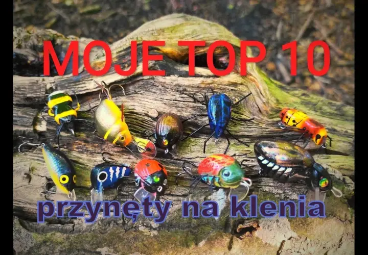 Skuteczne przynęty na klenia – wybierz najlepsze opcje na ryby