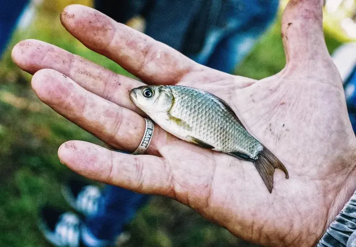 Wanilia na jakie ryby? Odkryj skuteczne przynęty i triki wędkarskie