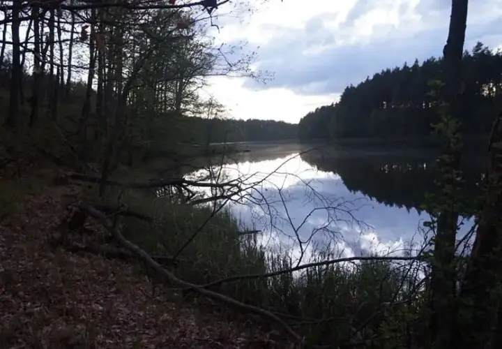 Łowisko Missisipi: Idealne miejsce na wędkarską przygodę w naturze