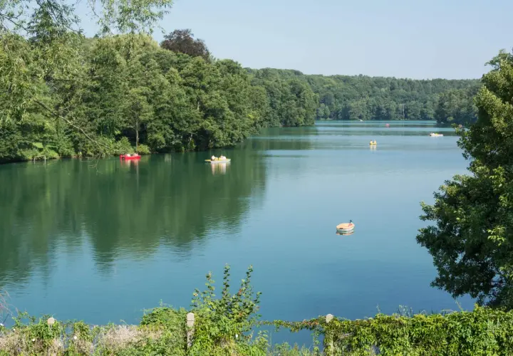 Spokojne jezioro ciecz otoczone zielonymi drzewami. Kilka łódek pływa po wodzie, tworząc sielski krajobraz.