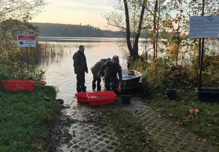 Ludzie wyładowują ryby z łodzi do czerwonych pojemników nad jeziorem.