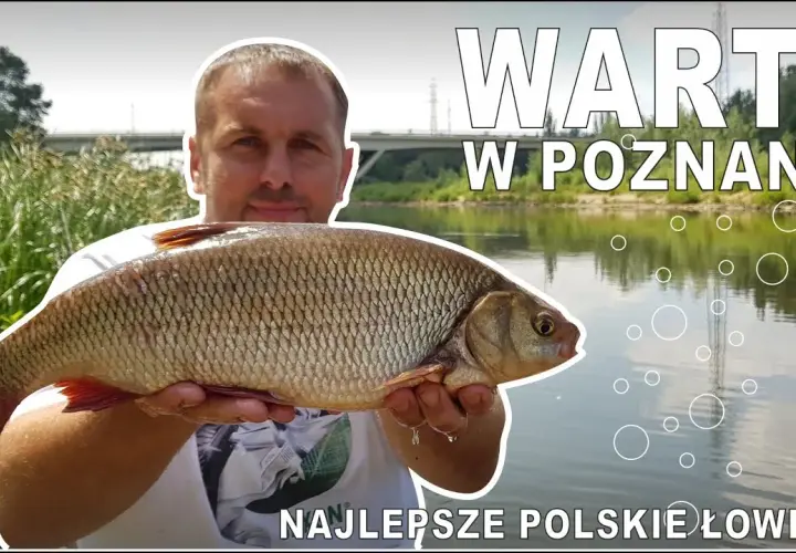 Warta gdzie na ryby: najlepsze miejsca i techniki wędkarskie