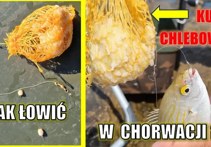 Na co łowić ryby w Chorwacji? Skuteczne przynęty, które działają