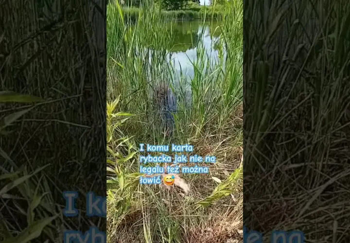 Gdzie na ryby bez karty Radom? Odkryj łowiska bez licencji