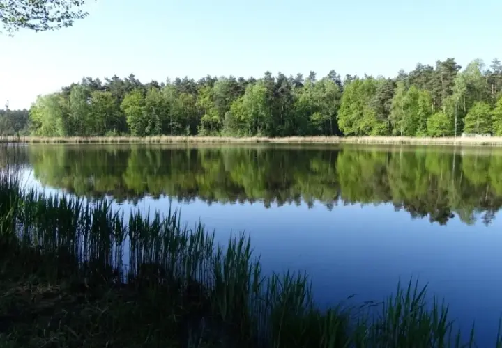 Łowisko Baroniok – idealne miejsce na wędkarską przygodę w Polsce