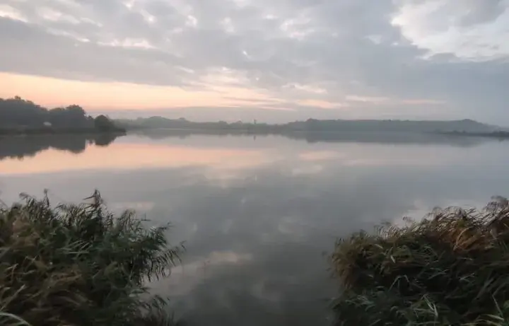 Łowisko Goldfish Manieczki: najlepsze miejsce na wędkowanie w regionie
