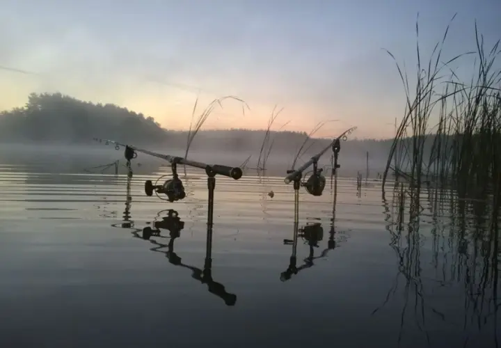 Dwie wędki ustawione na brzegu jeziora o wschodzie słońca, mgła unosi się nad wodą, czekając na branie sazana.