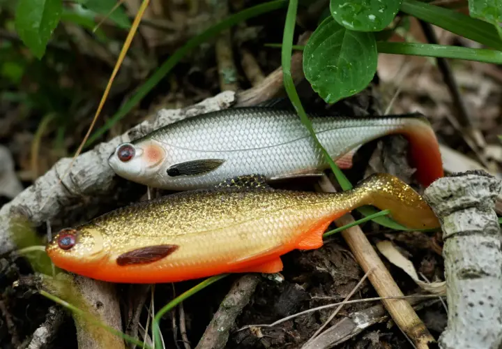 Skuteczne gumy przynęty na sandacza – wybierz najlepsze na połowy
