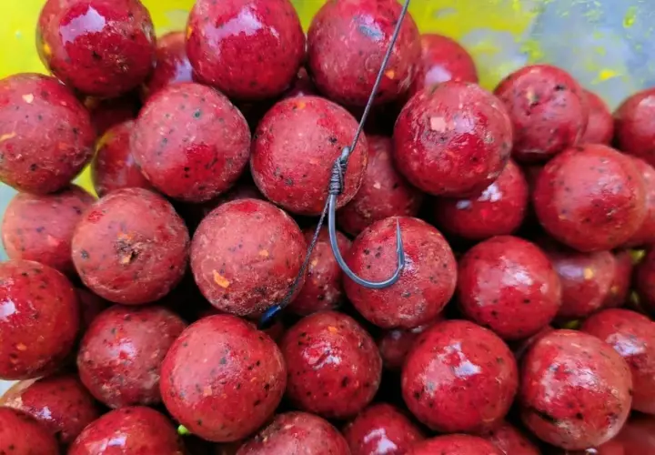 Stos kulek proteinowych na karpia, gotowych do zarzucenia. Te najskuteczniejsze kulki proteinowe na karpia mają intensywnie czerwony kolor i widoczne drobinki.