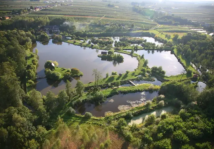 Cennik łowiska Rusiec: Sprawdź, ile zapłacisz za wędkowanie