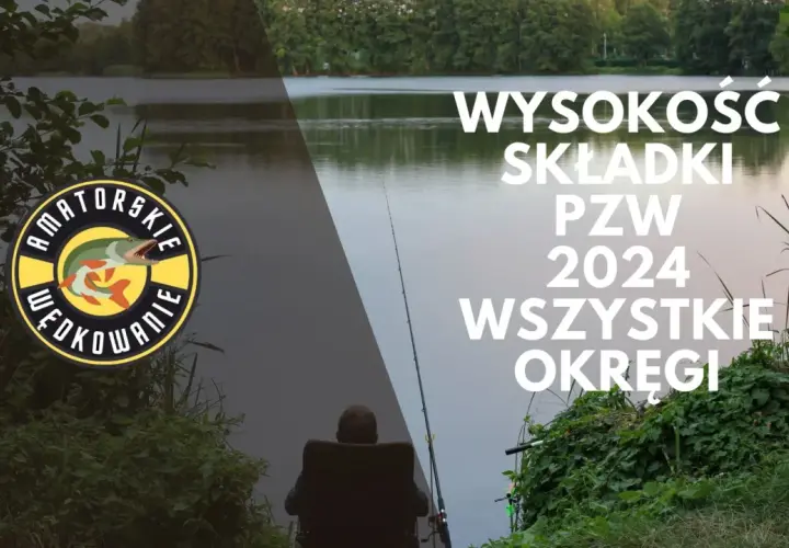 Ile kosztuje zezwolenie wędkarskie? Sprawdź ceny i różnice regionalne