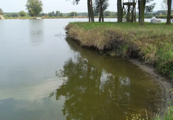 Łowisko 3 Stawy Goryń Radom - Idealne miejsce na wędkarską przygodę