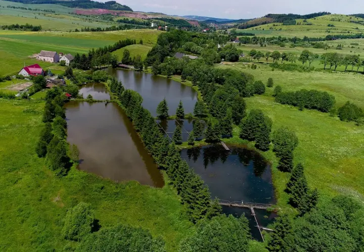 Widok z lotu ptaka na stawy rybne otoczone zielenią, z domami w tle.