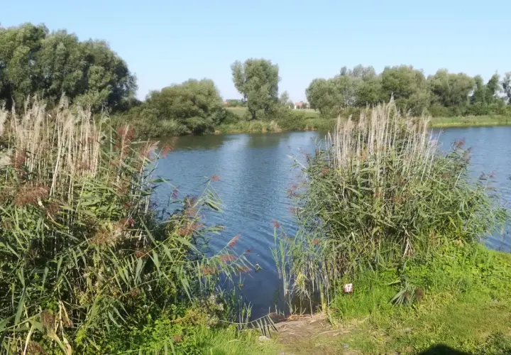 Gdzie na ryby bez karty kujawsko-pomorskie - najlepsze miejsca na wędkowanie