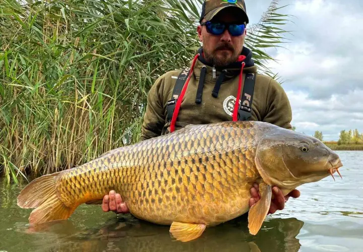 Łowisko Extra-Carp Radymno: Zasady, ryby i rezerwacje na wędkowanie