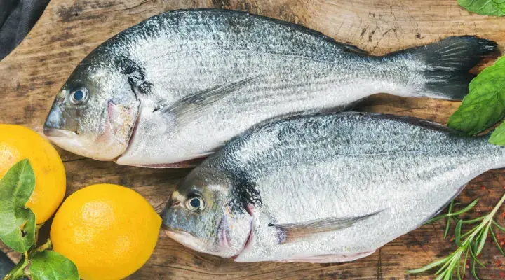 Jakie ryby na keto? Odkryj najlepsze tłuste ryby dla zdrowia