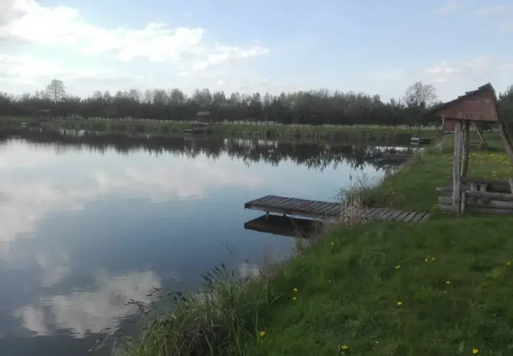 Łowisko Szpruch - idealne miejsce na wędkowanie w Mazowszu